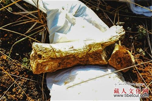 青海省湟中县地区发现一处世界级地质遗迹