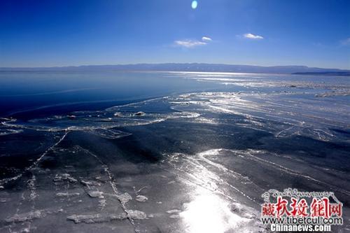 生态功能渐强 青海湖"水陆空"多个指示性物种递增