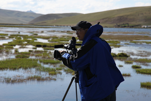 《鹤舞高原》宣传黑颈鹤与湿地环保