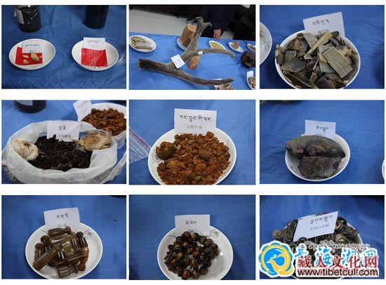 青海海南藏医院展示七十多种贵重药材邀请各界人士参观