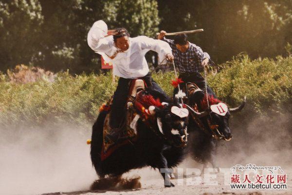 藏民族传统体育活动