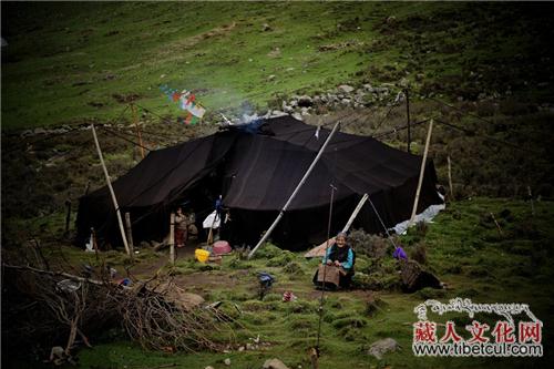 藏族人为什么要居住帐篷？