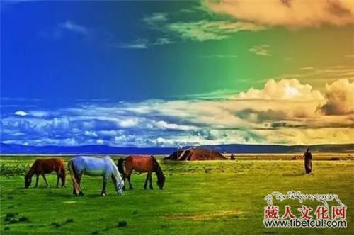 羌塘草原：藏族传统文化焕发勃勃生机