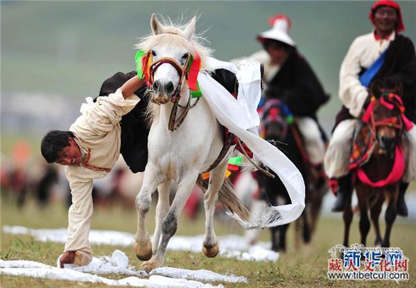 美媒报道藏区赛马节 称展示传统藏文化