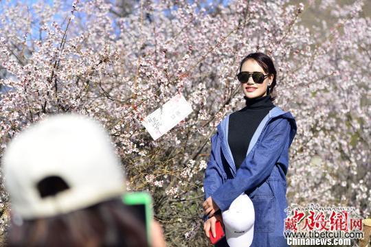 西藏“江南”林芝四季旅游效应逐步显现