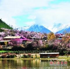 西藏桃花摄影展即将开幕：野生桃花吸引更多游客去西藏
