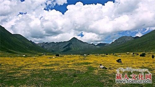 首届四川湿地生态旅游节 8月来壤塘欣赏"悬天净土"