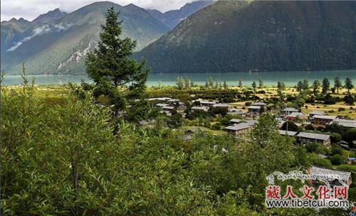 美丽西藏的故事 林芝结巴村：不砍树搞旅游富了