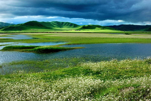 阿坝州红原打造大草原国家公园