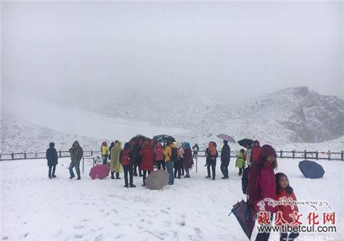 美景看不够 四川阿坝达古冰山景区大雪纷飞
