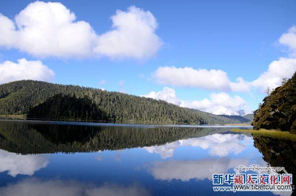 云南省香格里拉碧塔海“杜鹃醉鱼”景观扬名于世