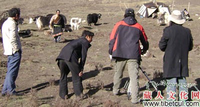 青海藏语电视第一部动物寓言剧《羊格历险记》日前摄制完成