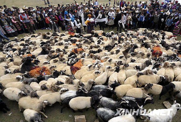 西藏白朗牧区举行“果孜”仪式