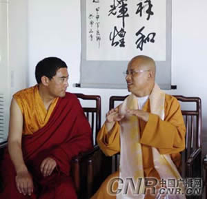 海南南山景区举行藏传佛教唐卡艺术展