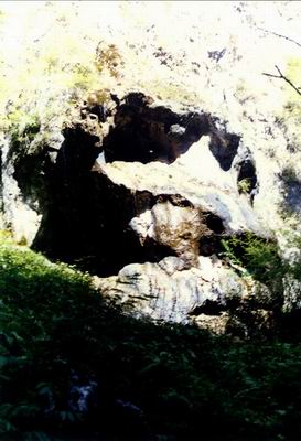 迭部发现上亿年巨型“北京古猿头像奇石”