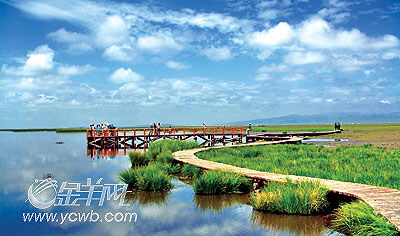 走进中国最美的沼泽湿地若尔盖