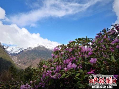 西藏文学创作基地“落地”六世达赖喇嘛故乡