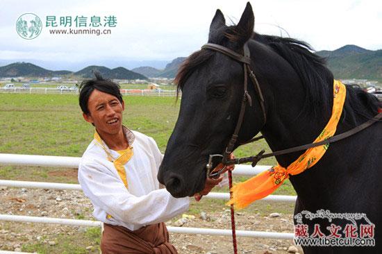 香格里拉五月赛马节大幕落下一藏族小伙携爱马独揽六金