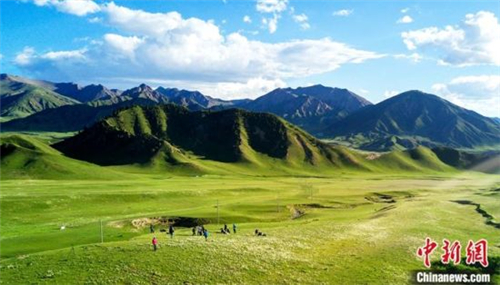 生态渐好 柴达木盆地野生动物数量稳定增长