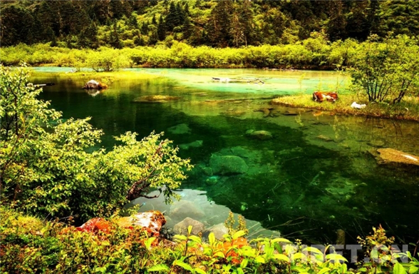 西藏察隅旅游资源探秘之上察隅冰湖