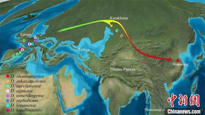 科研揭示：2000万年前犀牛沿青藏高原北缘迁徙