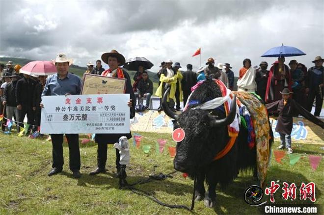 “盛德白玉·草原最牛”乡村民俗文化系列活动在四川白玉县启幕3.jpg