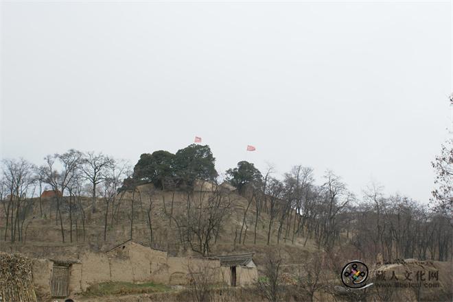 白雀寺在观音殿村的一块台地上.JPG