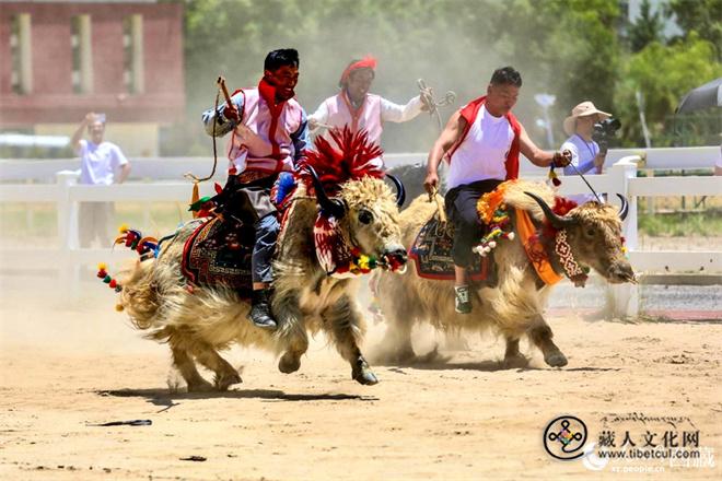 西藏拉萨：农牧民运动会“赛”出幸福生活4.jpg