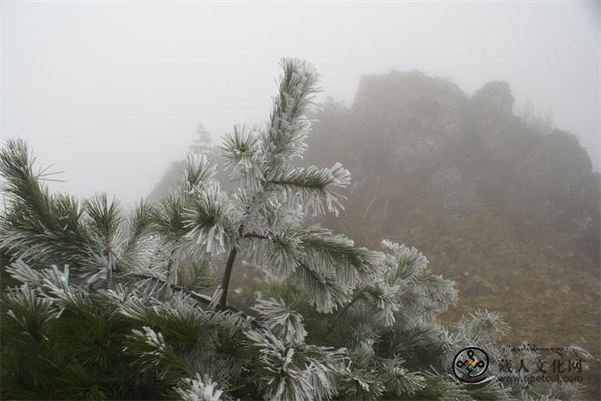 雪雾弥漫的大香山.JPG