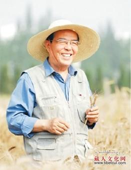 中国工程院院士、小麦育种专家程顺和